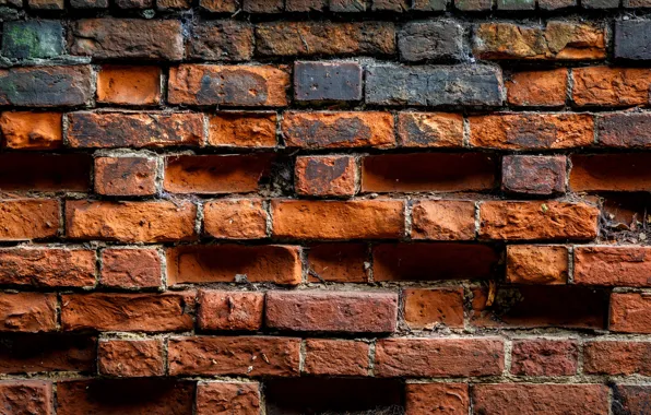 Wall, bricks, brown