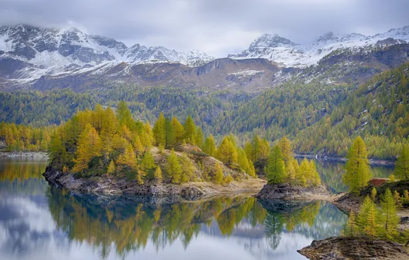 Картинка осень, деревья, пейзаж, горы