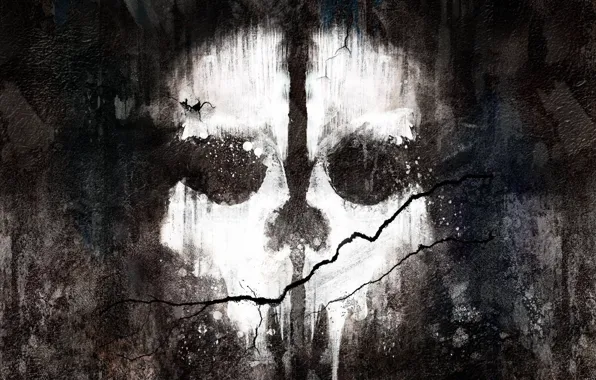 Картинка стена, краска, череп, трещина, Activision, Infinity Ward, Call of Duty: Ghosts