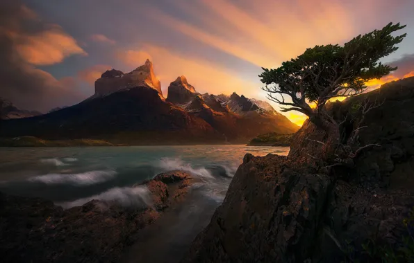 Картинка море, пейзаж, закат, природа, дерево, скалы, сосна, фьорд
