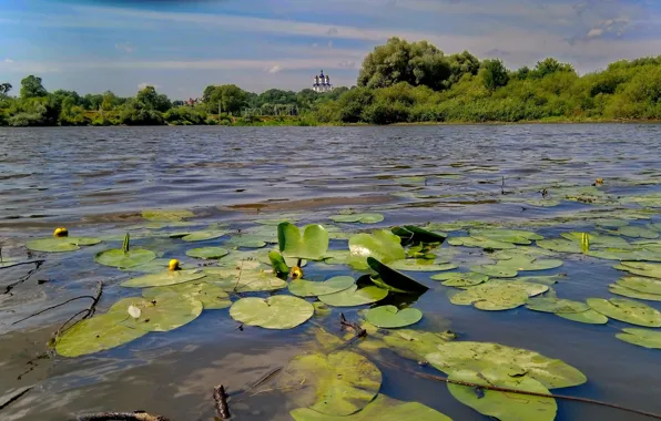 Вода, природа, река, вид, Небо, красиво, Пейзаж, кувшинки