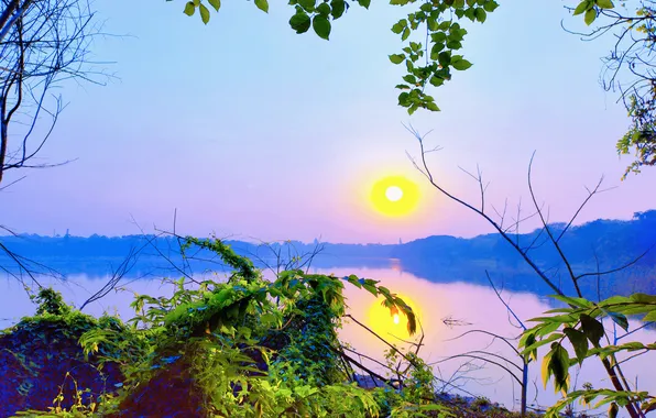 Sun, Water, Sunrise, Dawn, Morning, Lake, Trees, Reflection