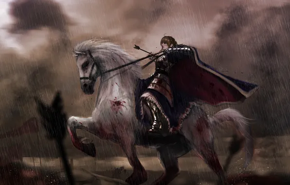 Battlefield, blood, fantasy, Fate/Stay Night, rain, armor, anime, painting