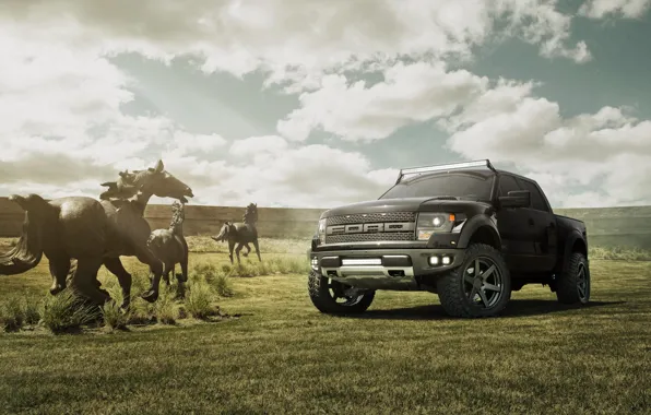 Картинка поле, небо, чёрный, Ford, лошади, black, форд, Raptor