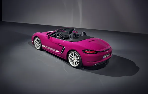 Porsche, Porsche 718, 2023, Porsche 718 Boxster Style Edition