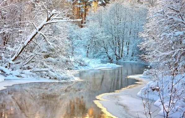 Картинка зима, лес, пейзаж, природа, река