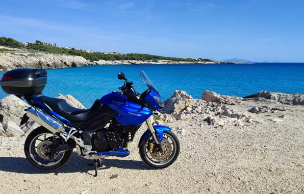 Tiger, sea, tiger, Triumph, triumph, 1050