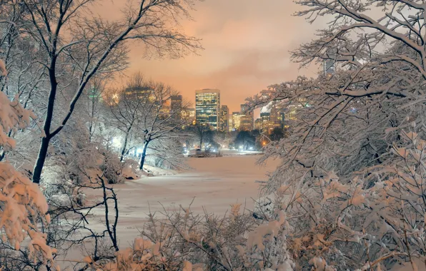 Зима, снег, деревья, city, парк, landscape, New York, Manhattan