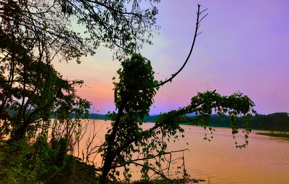 Sun, Water, Sunrise, Dawn, Morning, Lake, Trees, Reflection