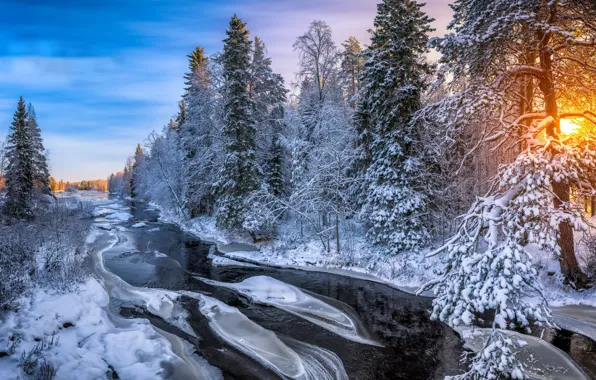 Картинка зима, лес, река, утро