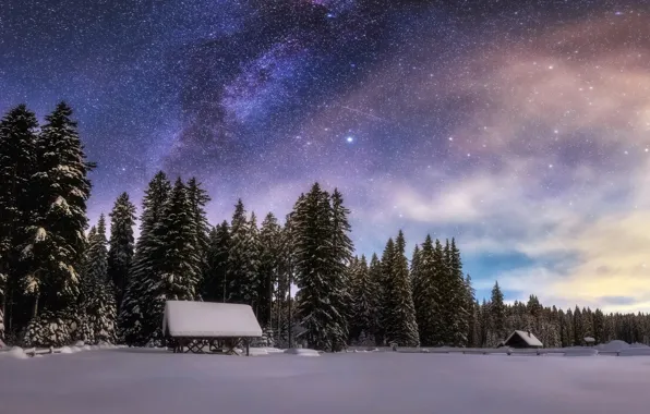 Картинка зима, лес, небо, звезды, снег, ночь