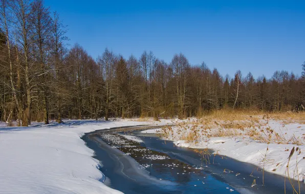 Зима, пейзаж, природа, беларусь