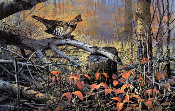 Картинка осень, деревья, птица, сухие, живопись, осенний лес, валежник, Don Kloetzke