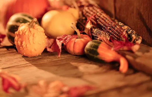 Картинка осень, кукуруза, урожай, тыква, овощи
