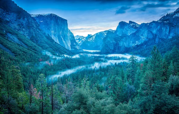 Картинка лес, небо, деревья, горы, туман, водопад, долина, США