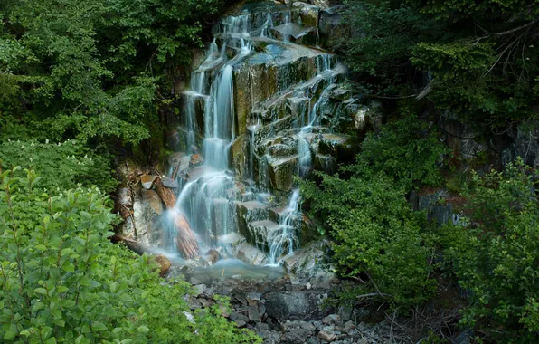 Картинка лес, ветки, ручей, камни, водопад, Вашингтон, США, каскад