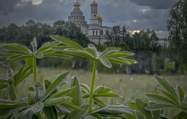 Картинка пейзаж, природа, храм, монастырь, Истра, Елена Гусева, Ново-Иерусалимский монастырь