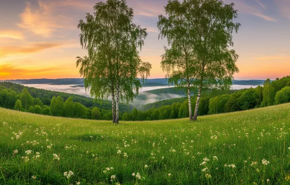 Лето, небо, холмы, обои, арт, wallpaper, summer, берёзы