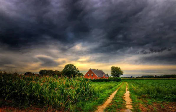 Картинка поле, трава, фото, кукуруза, домик