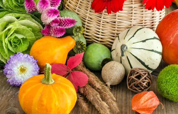Картинка осень, цветы, корзина, тыква, овощи, капуста