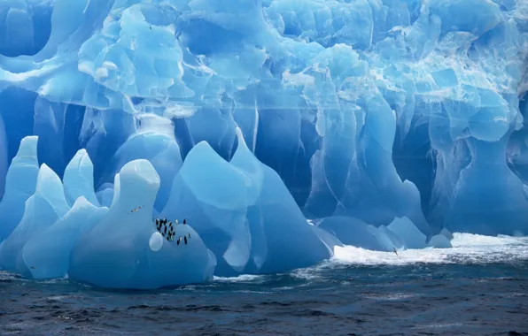 Картинка лед, море, пингвины, ледник