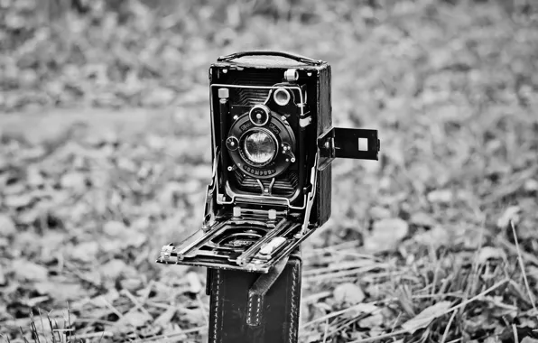 Germany, camera, Deutchland, zeiss, zeiss ikon