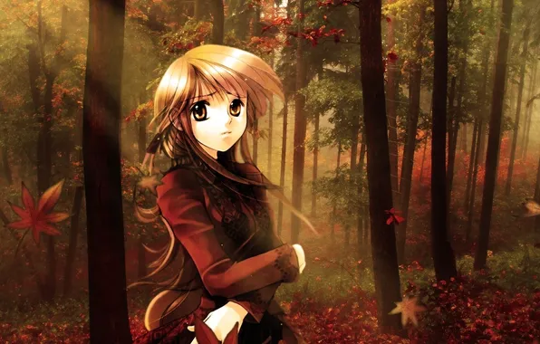Картинка лес, листья, девушка