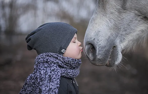 Картинка настроение, конь, мальчик