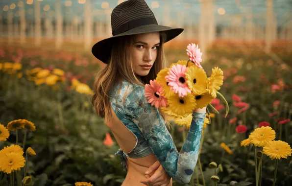 Поле, лето, взгляд, девушка, цветы, поза, поляна, спина