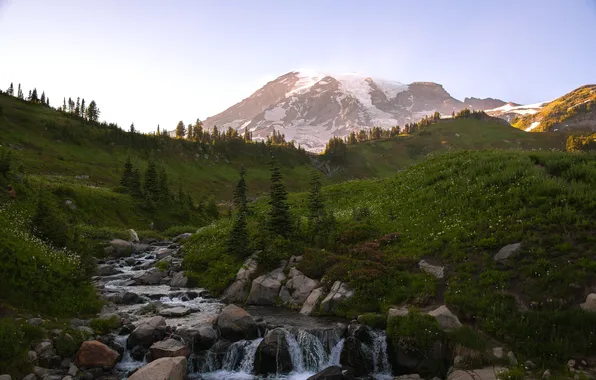 USA, Washington, North America, Mount Rainier