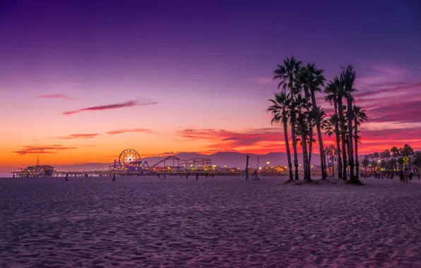 Пляж, пальмы, океан, Калифорния, США, Лос Анджелес, Санта Моника