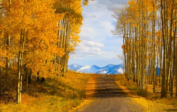 Картинка дорога, осень, небо, деревья, горы, природа, usa, colorado