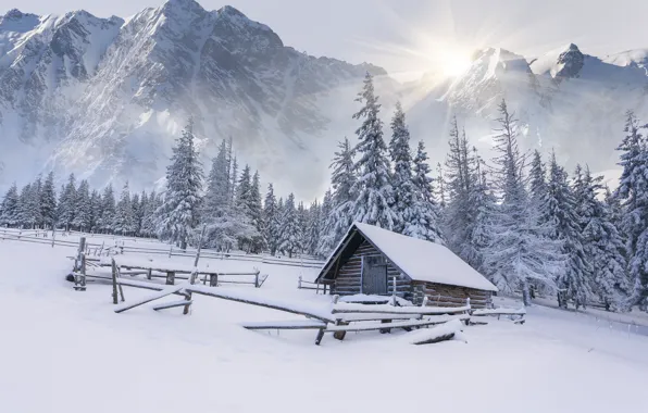 Картинка зима, снег, горы, елки, сугробы, домик, хижина, landscape