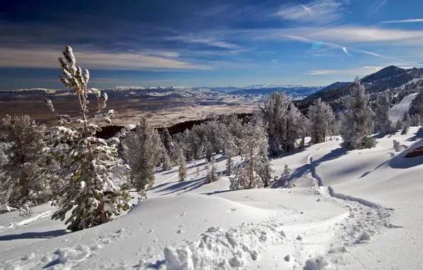 Картинка зима, небо, облака, снег, деревья, горы, ель, долина