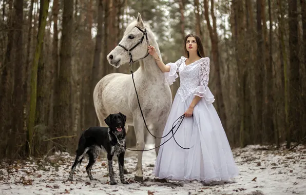 Картинка девушка, конь, собака