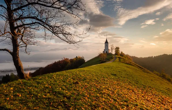 Картинка осень, листья, дерево, холм, церковь, Словения
