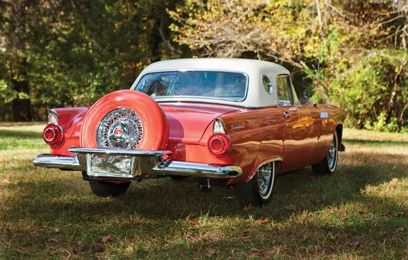Ford, Форд, 1965, ретро автомобили, Thunderbird, retro cars, Ford Thunderbird Convertible