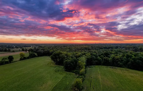 Картинка trees, landscape, sunset, clouds, corn, farm, drone