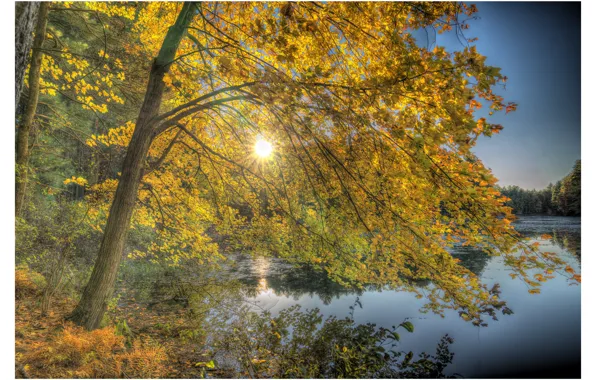 Осень, деревья, озеро, Нью-Гэмпшир, New Hampshire, Нашуа, Nashua