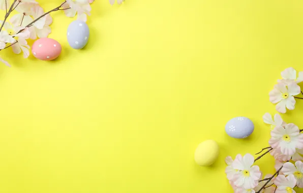 Картинка цветы, фон, яйца, весна, Пасха, blossom, flowers, spring
