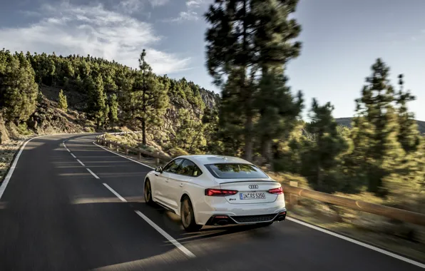 Дорога, Audi, скорость, вид сзади, RS5, Sportback, RS 5, 2020