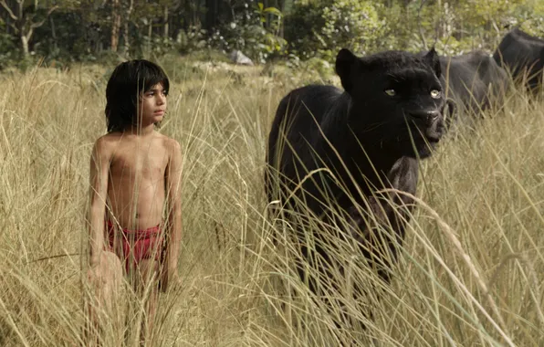 Картинка трава, мальчик, пантера, прогулка, Багира, Маугли, The Jungle Book, Книга джунглей