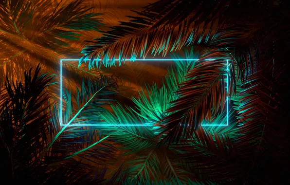 Лето, ночь, пальма, неон, neon, Summer, palm tree, Summer nights