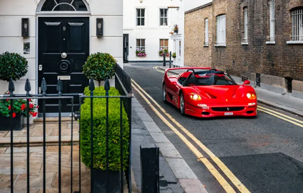 Картинка Ferrari, red, supercar, F50, Ferrari F50