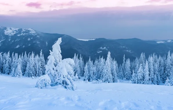 Картинка зима, лес, небо, облака, снег, пейзаж, горы, тучи
