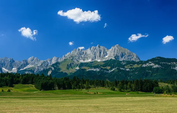 Картинка лес, горы, Австрия, Альпы, луг, Austria, Alps, гора Вильдер Кайзер