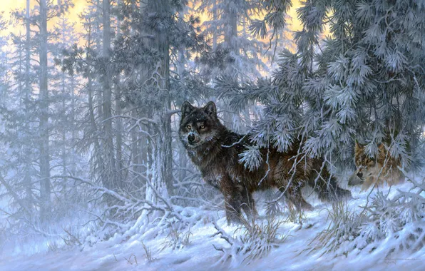 Зима, иней, лес, взгляд, свет, снег, ветки, природа