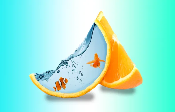 Вода, water, дольки апельсина, creative art, two fish, креативный арт, две рыбки, orange slices