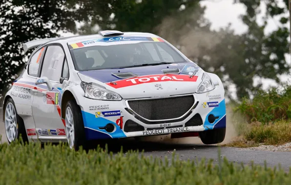 Трава, асфальт, деревья, rally, peugeot, 208, erc