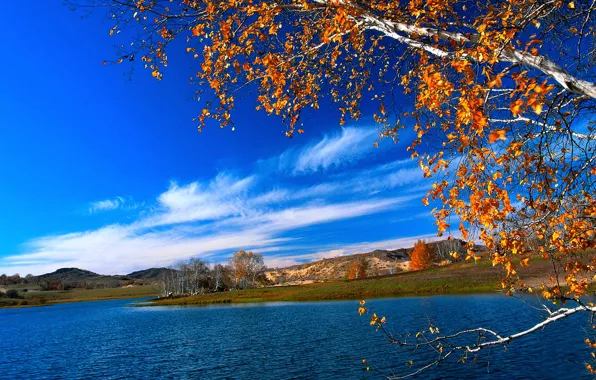 Картинка осень, небо, листья, облака, пейзаж, река, дерево
